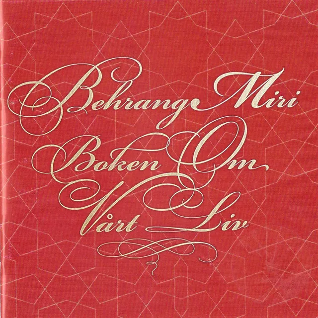 Boken om vårt liv (2008)