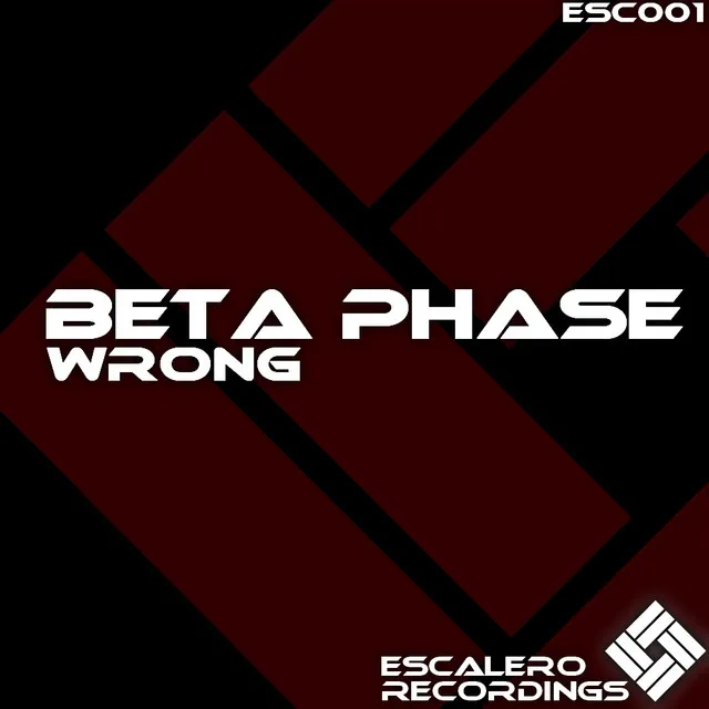 Wrong - Original Mix