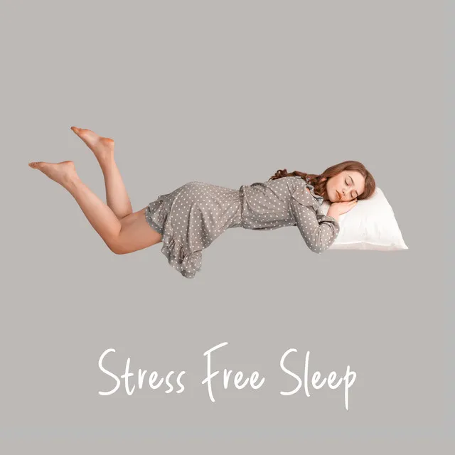 Stress Free Sleep: Rain Drops Sounds for Sleep Problems