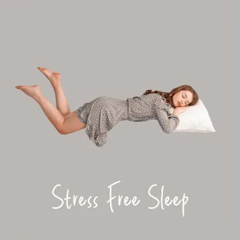 Stress Free Sleep: Rain Drops Sounds for Sleep Problems by Restful Sleep Music Academy