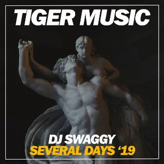 Several Days '19 by DJ Swaggy