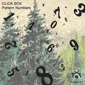 Pattern Numbers by Click Box