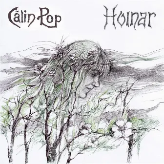 Hoinar (feat. Toni Dijmarescu, Flavius Suciu, Vlad Spătar) by Calin Pop