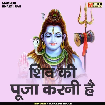 Shiv Ki Pooja Karni Hai (Hindi) by Naresh Bhati