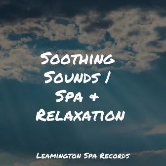 Soothing Sounds | Spa & Relaxation by Preschool Kids