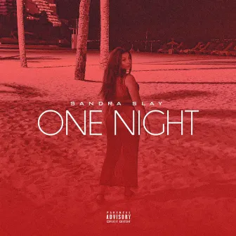 One Night by Sandra Slay