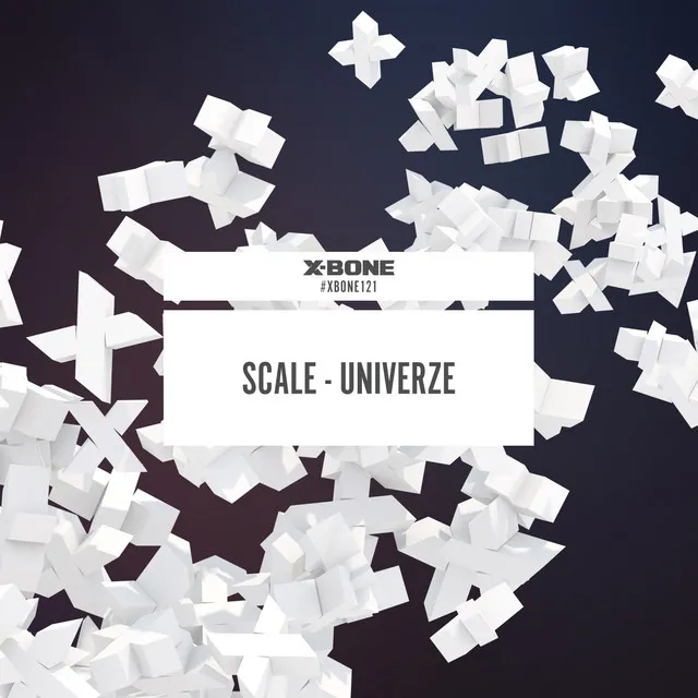 Univerze