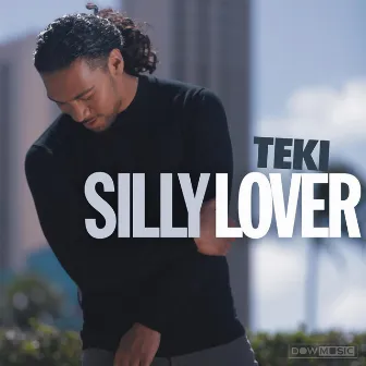 Silly Lover by Teki