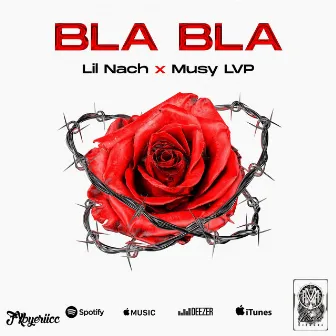 Bla Bla by Lil Nach