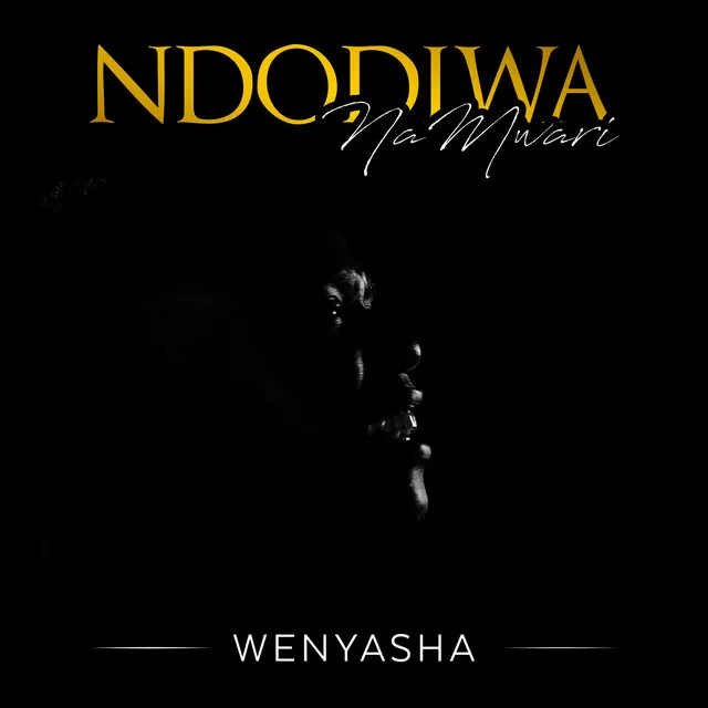 Ndodiwa naMwari