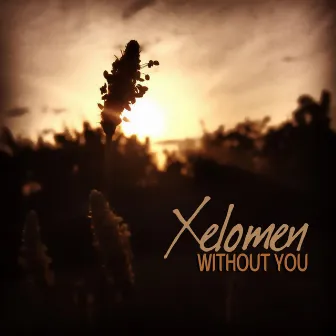 Without You by Xelomen