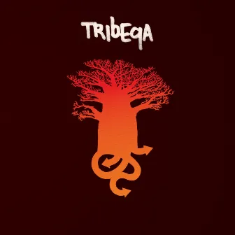 Tribeqa by Tribeqa