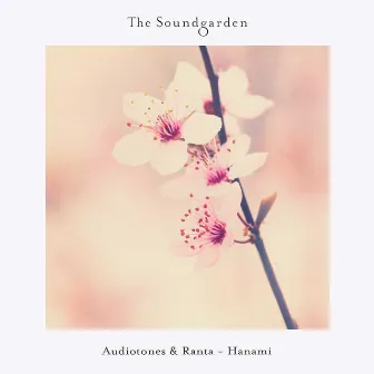 Hanami by Audiotones