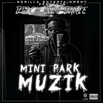 Mini Park Muzik by Birch Boy Barie