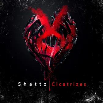 Cicatrizes by Shattz