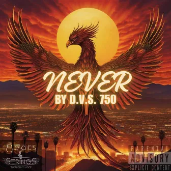 Never by D.V.S. 750