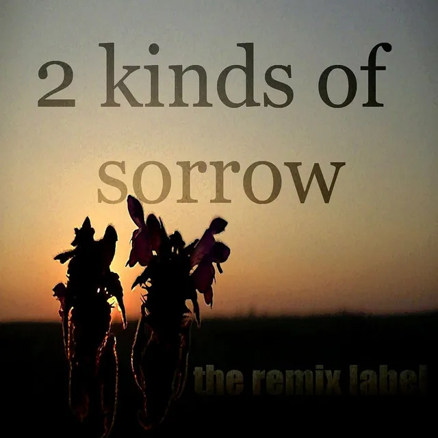 2kindsof Sorrow (Positive Housemusic Mix) - Single