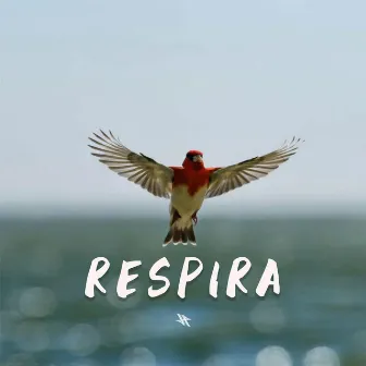 Respira by JosP222