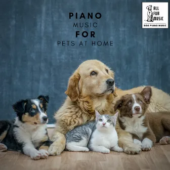 Piano Music For Pets At Home by Music For Cats To Sleep To