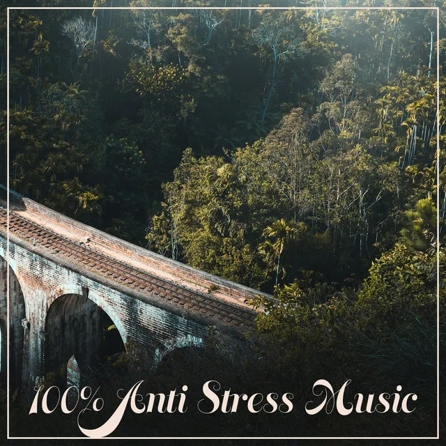 100% Anti Stress Music – Therapy Music with Nature Sound, Relax Yourself, Rest & Relax, Positive Thinking, Ambient Music