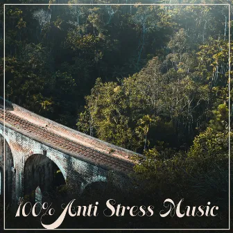 100% Anti Stress Music – Therapy Music with Nature Sound, Relax Yourself, Rest & Relax, Positive Thinking, Ambient Music by Serenity Nature Sounds Academy