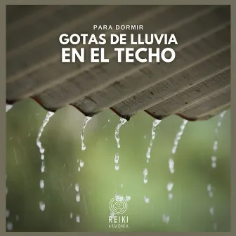 Para Dormir: Gotas de Lluvia en el Techo by Unknown Artist