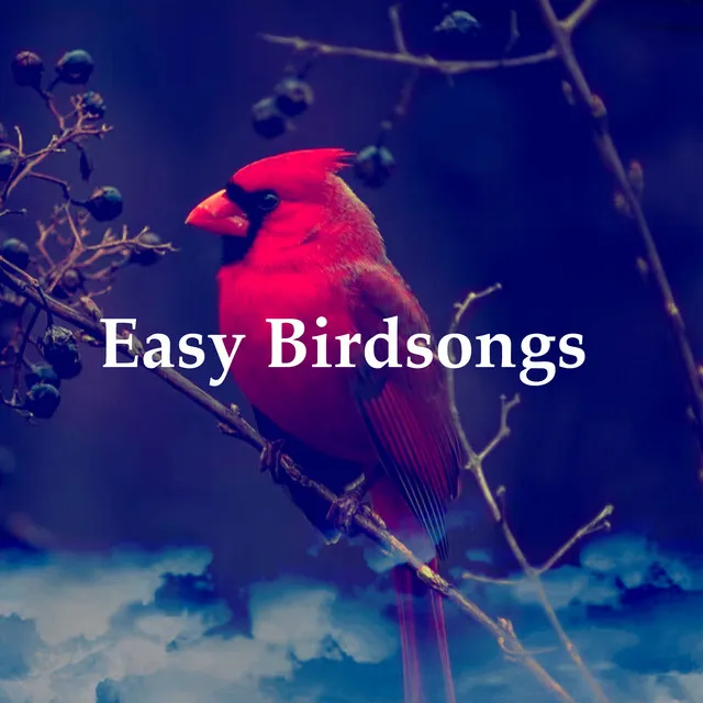 Easy Birdsongs