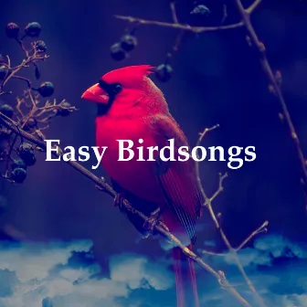 Easy Birdsongs by Natural Sound Selections