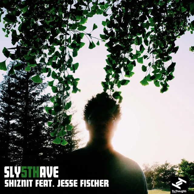 Shiznit (feat. Jesse Fischer)