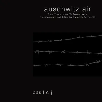 Auschwitz Air by Basil C J