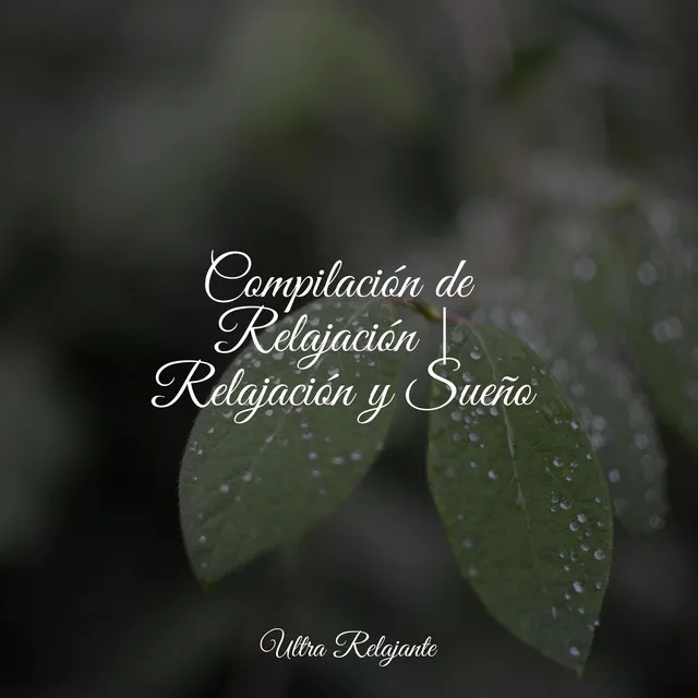 Compilación de Relajación | Relajación y Sueño