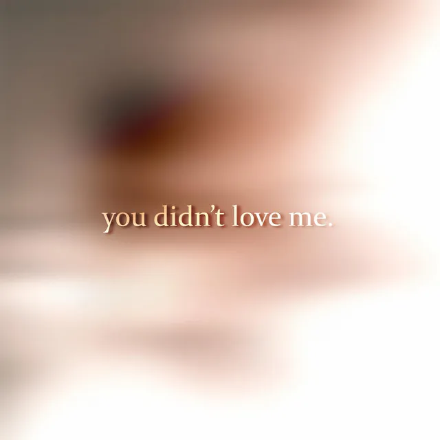 you didn't love me