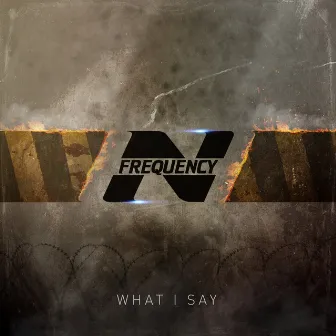 What I Say by N-Frequency