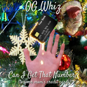 Could I Get That Number? (of your mom's credit card) by OG Whiz