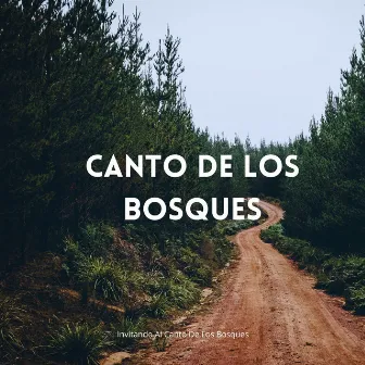 Invitando Al Canto De Los Bosques by La fuga del bosque