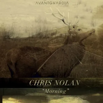 Morning by Chris Nolan