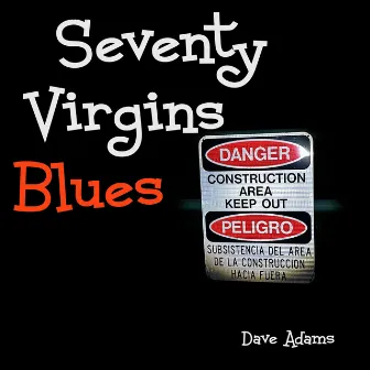 70 Virgins Blues by David Adams