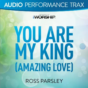 You Are My King (Audio Performance Trax) by Ross Parsley