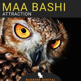 Attraction by Maa Bashi