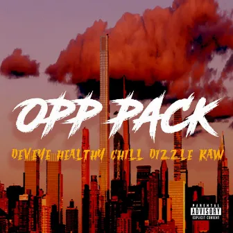 Opp Pack by Healthy Chill