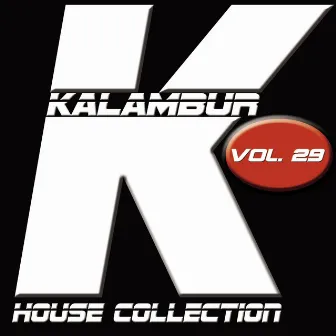 Kalambur House Collection, Vol. 29 by Dandy