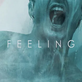 Feeling by Fluid