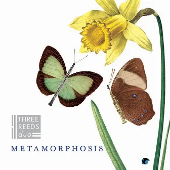 Metamorphosis by Three Reeds Duo