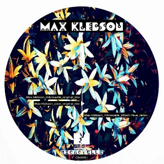 Mikrowelle EP by Max Klebson