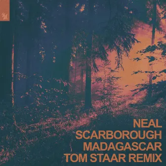 Madagascar (Tom Staar Remix) by Neal Scarborough