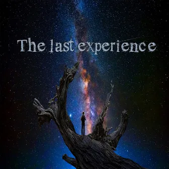 The Last Experience by Ketamane