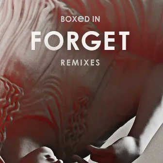 Forget (Remixes) by Boxed In