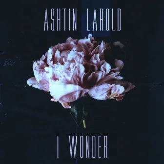 I Wonder by Ashtin Larold