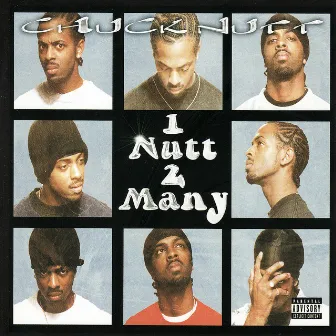 1 Nut 2 Many by Chuck Nutt