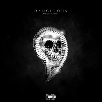 Dangerous by Brigida